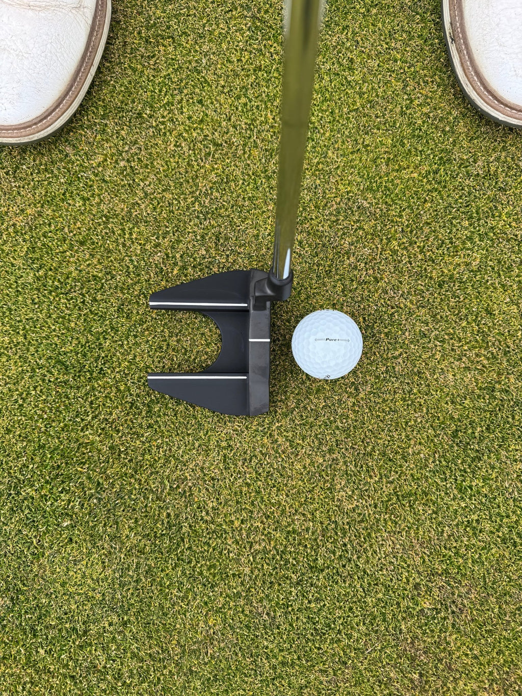Ase Golf AG2 Mallet Putter - Black Girl Golf