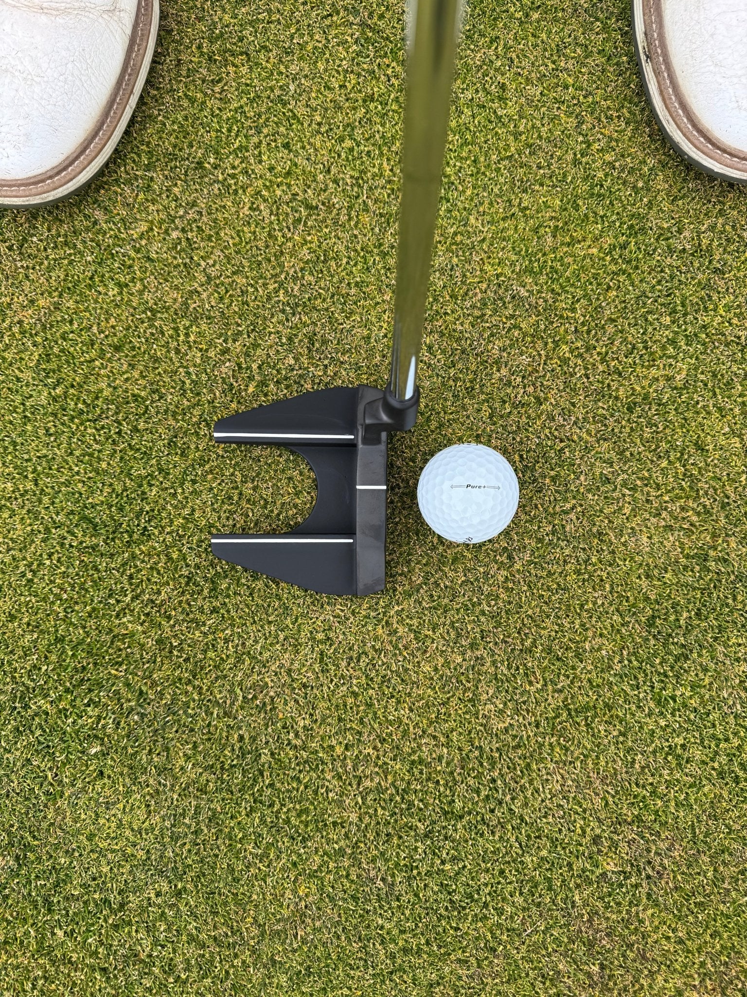 Ase Golf AG2 Mallet Putter - Black Girl Golf