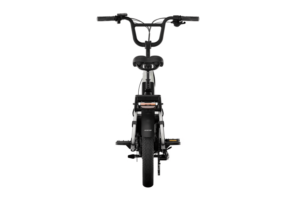Aventon Abound LR Cargo E - Bike - Black Girl Golf