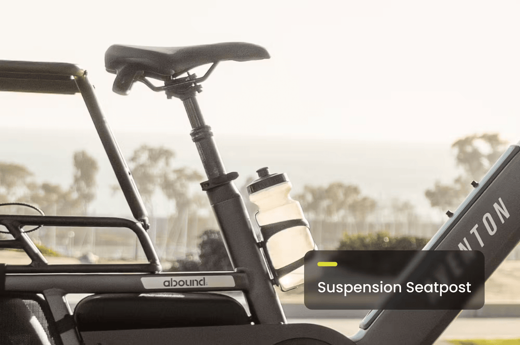 Aventon Abound LR Cargo E - Bike - Black Girl Golf