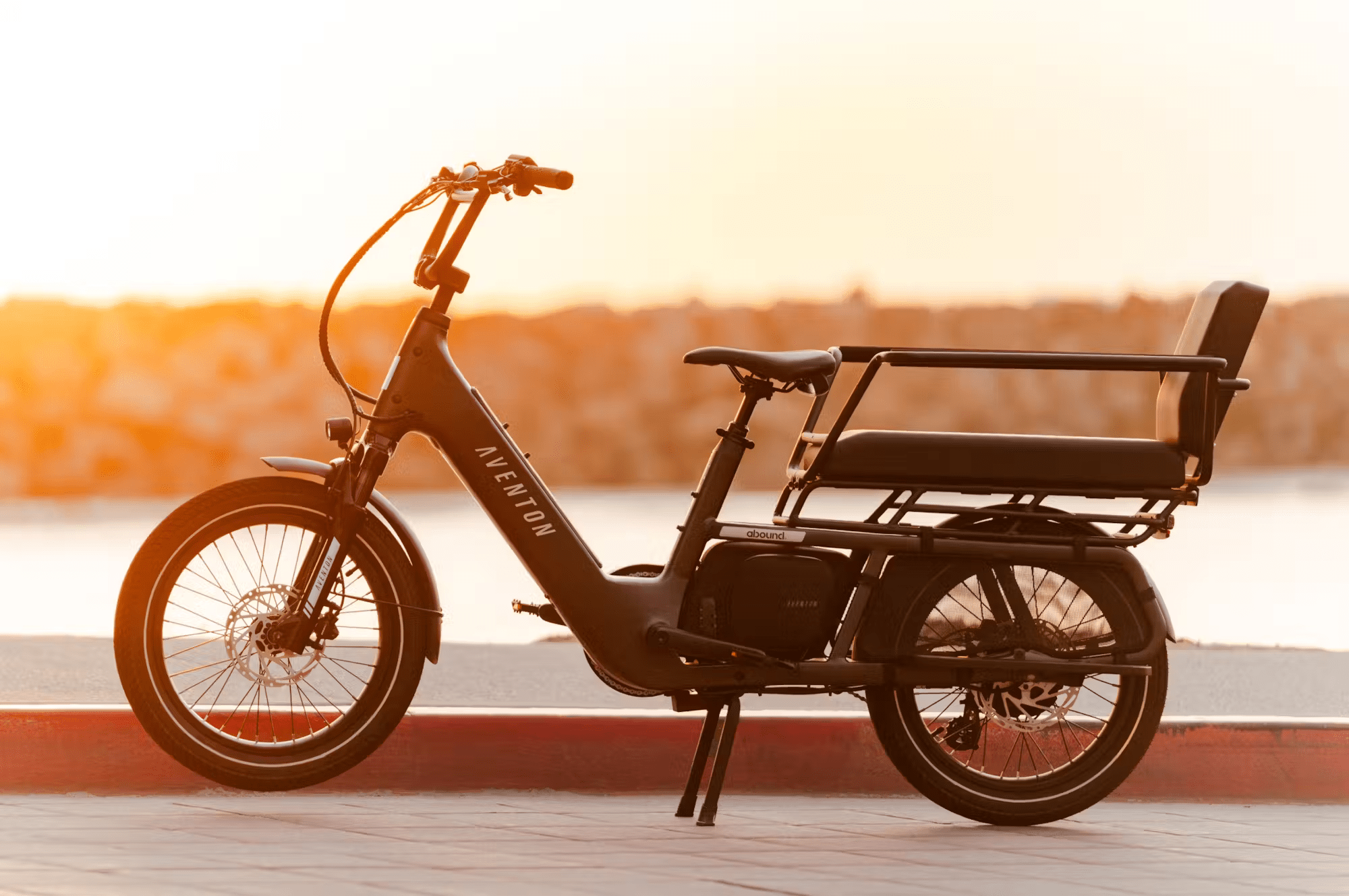 Aventon Abound LR Cargo E - Bike - Black Girl Golf