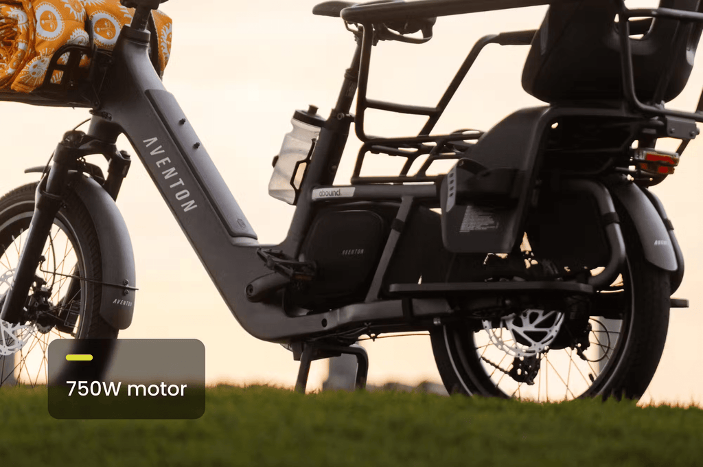 Aventon Abound LR Cargo E - Bike - Black Girl Golf