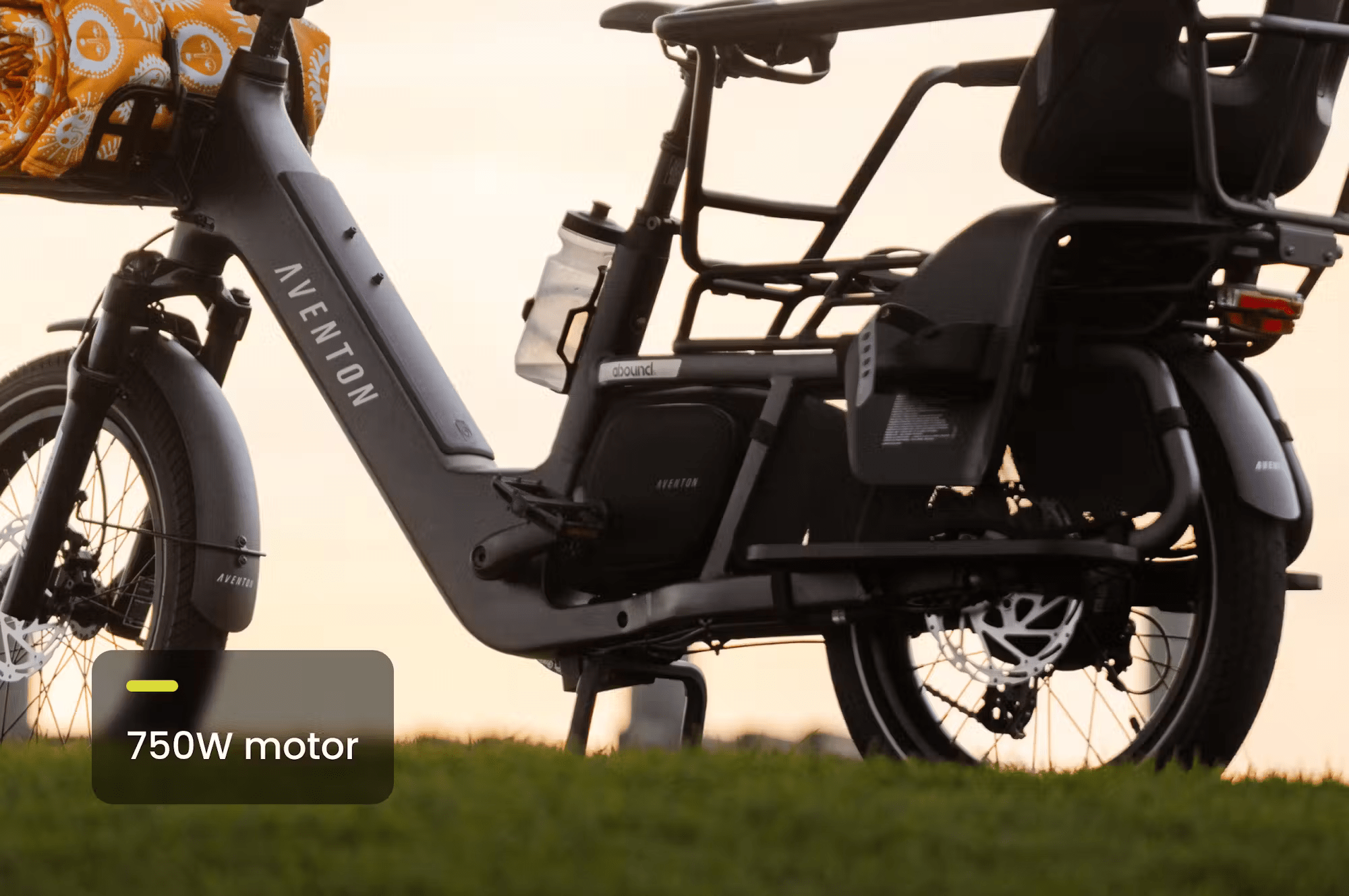 Aventon Abound LR Cargo E - Bike - Black Girl Golf