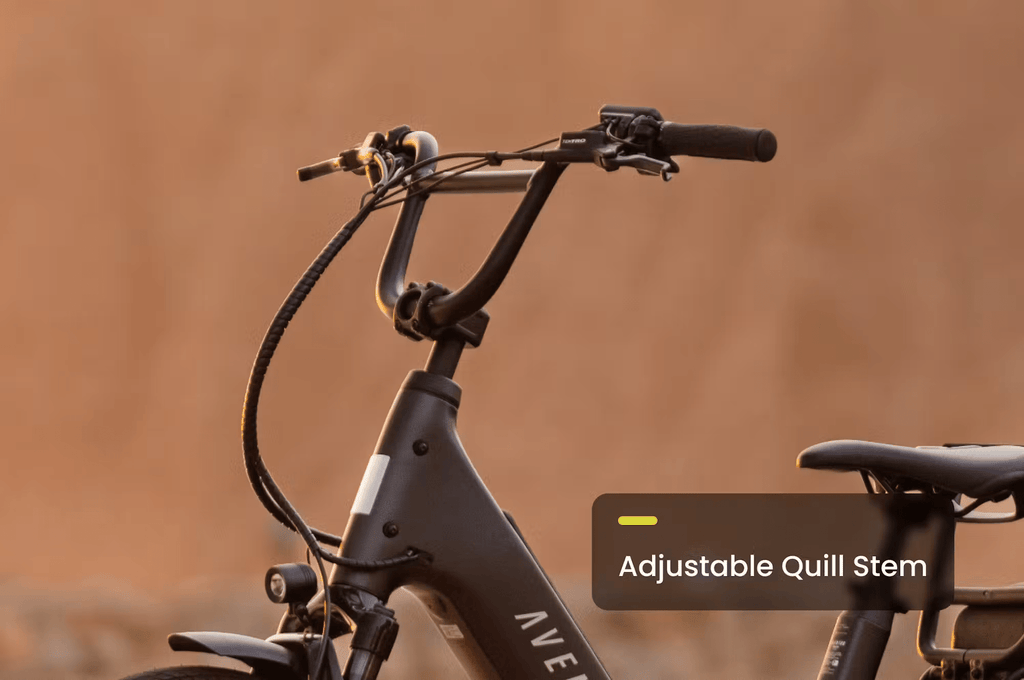 Aventon Abound LR Cargo E - Bike - Black Girl Golf