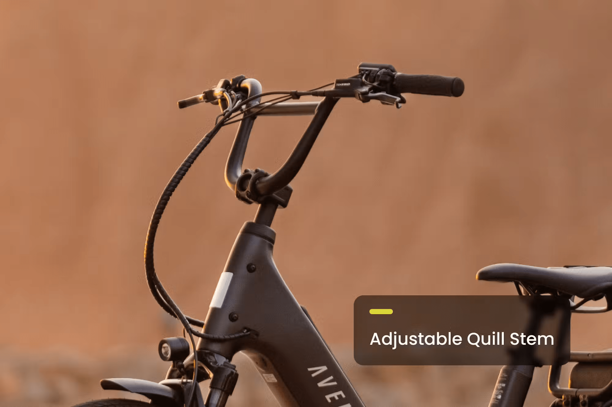 Aventon Abound LR Cargo E - Bike - Black Girl Golf
