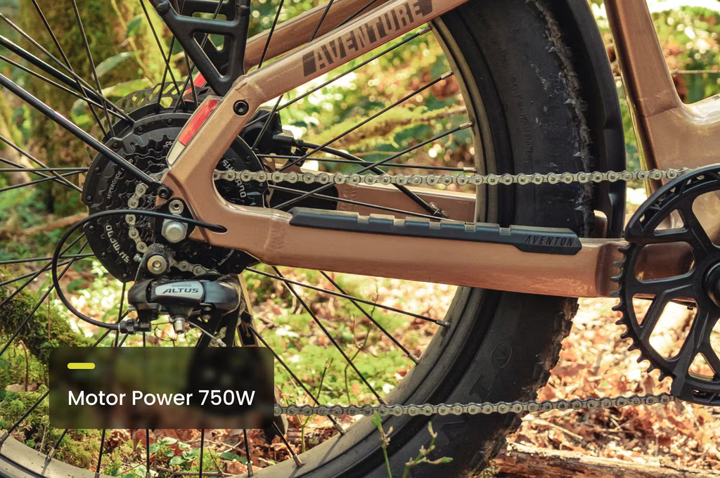 Aventon Aventure.3 E - Bike Step - Through - Black Girl Golf