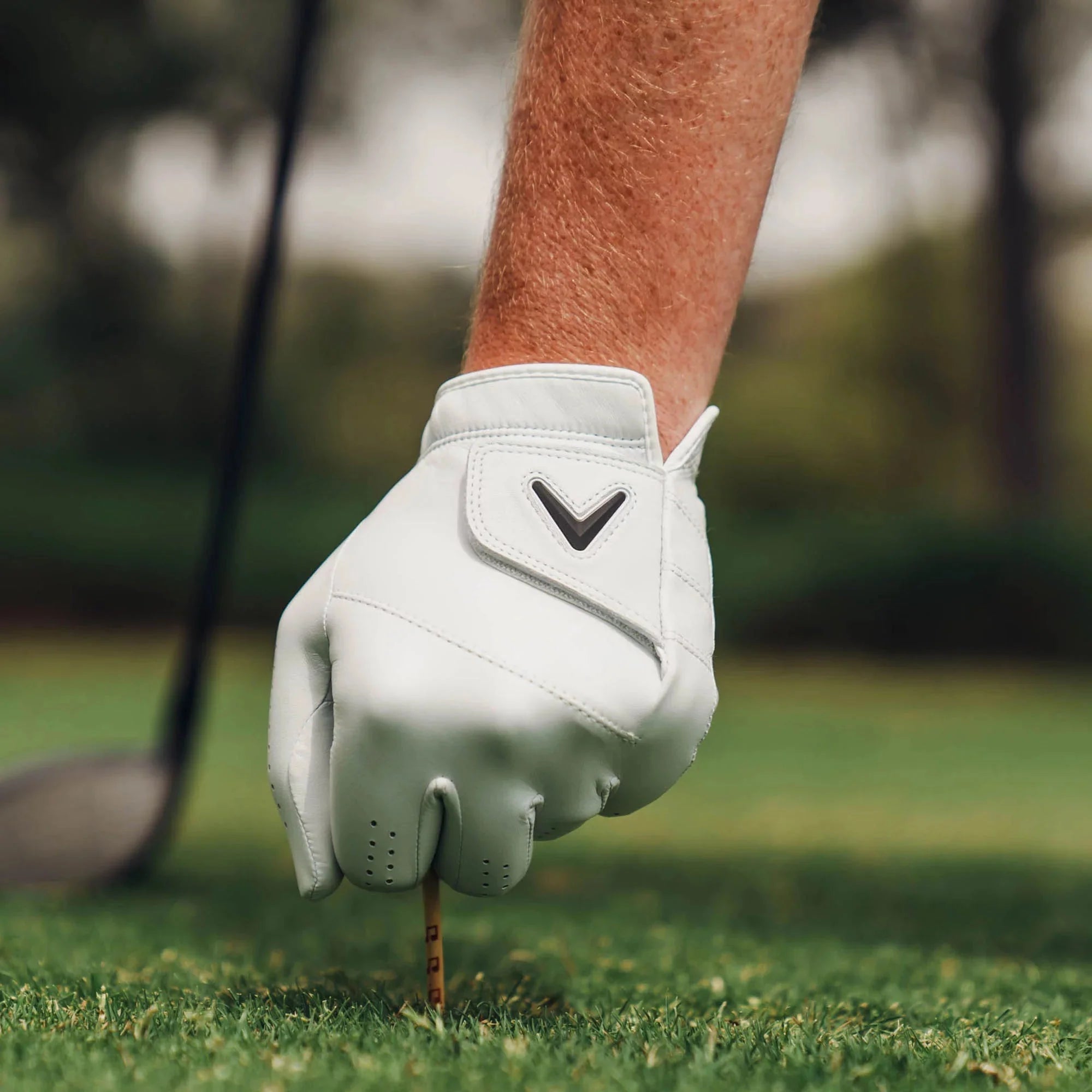Callaway 2025 Tour Authentic Golf Glove - Black Girl Golf