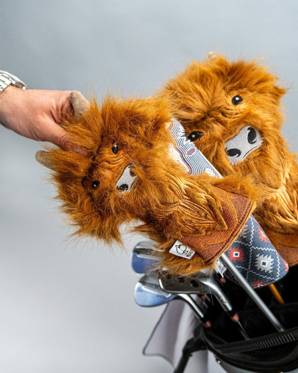 Highland Cow - Hybrid Cover - Black Girl Golf