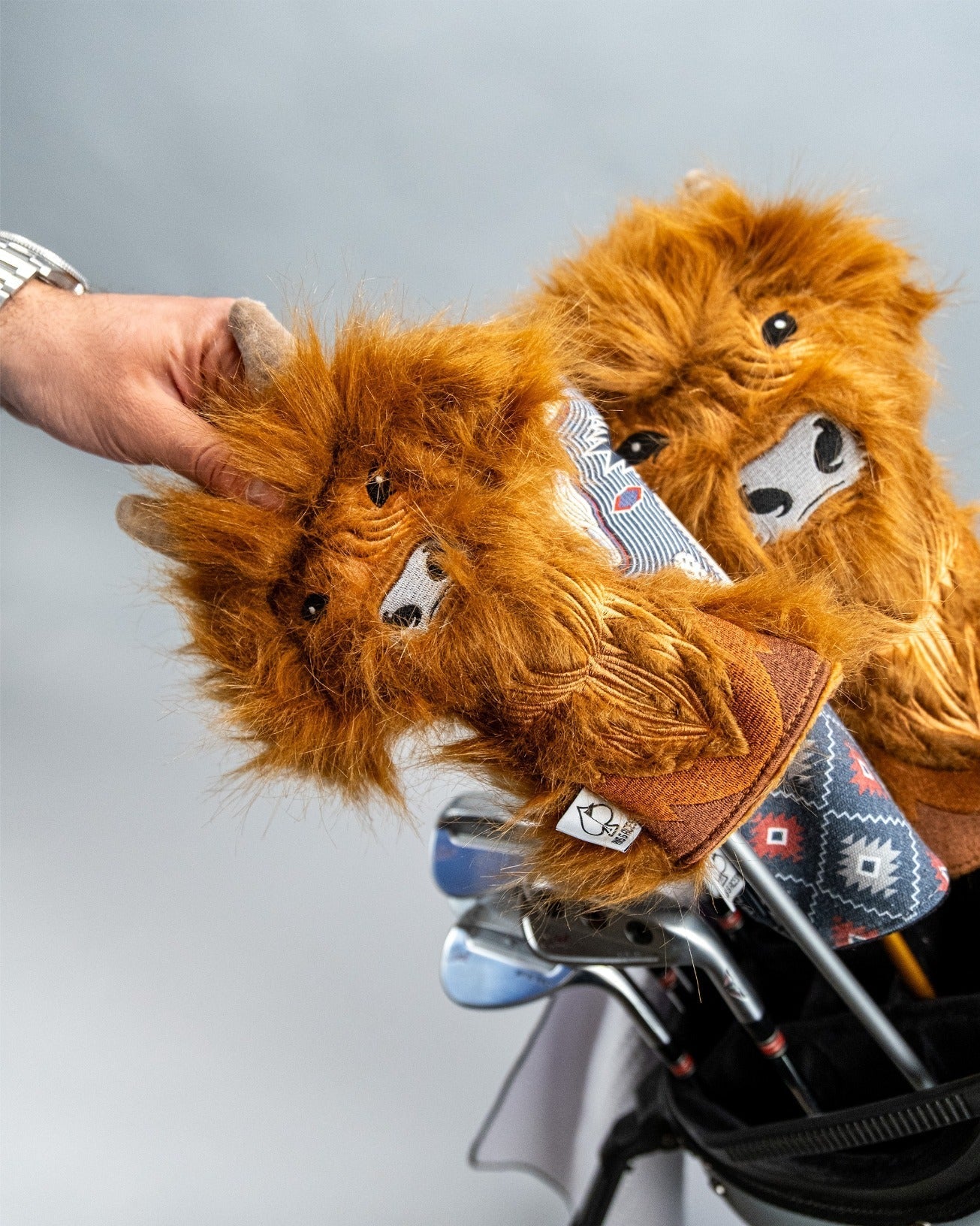 Highland Cow - Hybrid Cover - Black Girl Golf