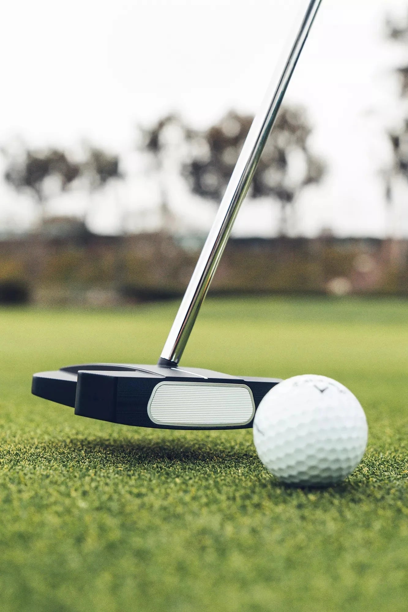 Odyssey Ai - One Square 2 Square Max 1 Putter - Black Girl Golf